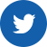Google+